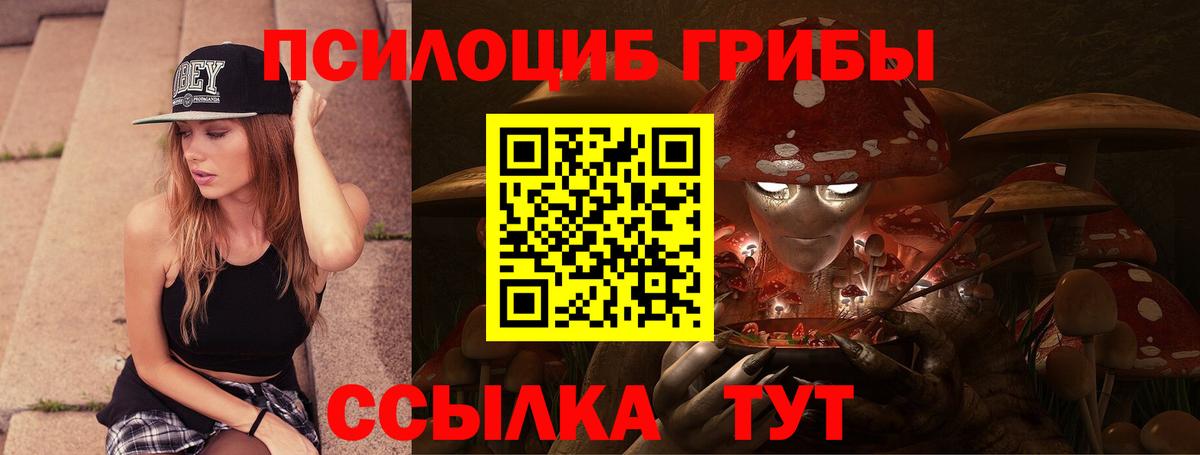 Кувандык  Псилоцибиновые грибы Cubensis  Вход с VPN 